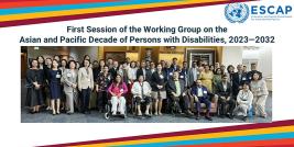 Official Group Photo of ESCAP Social Development Division and all Working Group Members participated onsite
